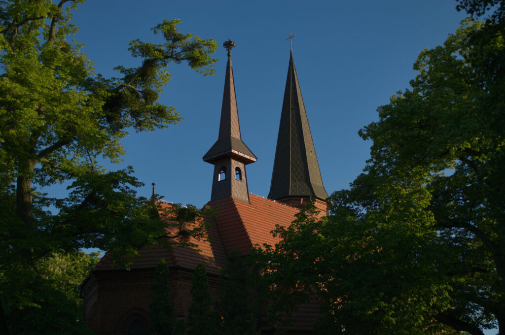 dsc 0856